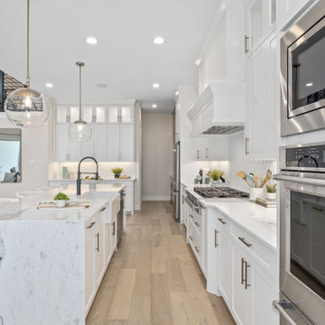 Mosaic 60' Model