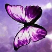 Lori Beth Houff's photo