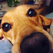 Julie Rae's photo
