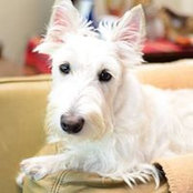 Princess Sophie's photo