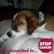 Wendy Stidham's photo