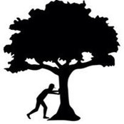 Derek Manzi's photo