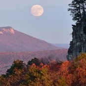 RoseAnn Lindsay's photo