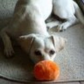 John Sharpe's photo