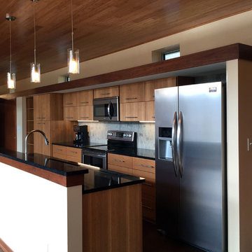 Contemporary "Off-grid" Bermed-Earth (high-performance)
