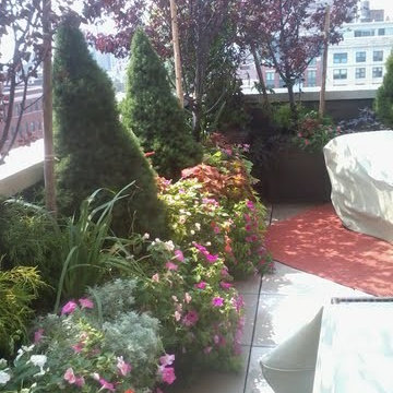New York Plantings Rootop Garden Design nyc