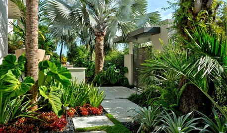 Pregunta a la experta: Cómo diseñar un jardín bonito y práctico