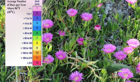 Come Riconoscere la Zona Climatica del tuo Giardino