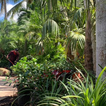 TROPICAL BACKYARD