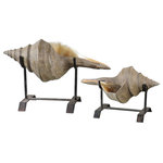 Uttermost - Uttermost 19556 Conch Shell Sculpture, Set/2 - Symbols Of The Sea Are Depicted In These Sculptures Featuring Natural Looking Shells On Matte Black Metal Stands. Sizes: Sm-12x8x6, Lg-18x12x8