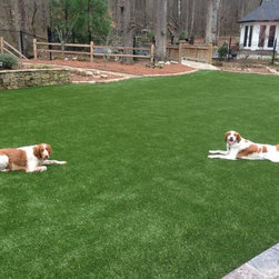Pet Turf - Products