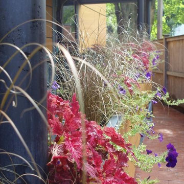 Entry railing, planted with grasses, coleus, petunias