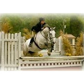 Elizabeth Larney's photo