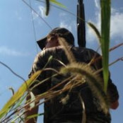 Amanda Gwaltney's photo
