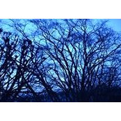 Brian Carroll's photo