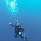 Marie Acquaviva's photo