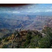 Karen Mader's photo