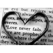 Marissa Rhoda's photo