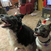 Barbara Wildoner's photo