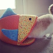 Foto von Brittanni George