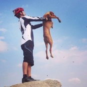 Gigio AB's photo