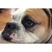 Lisa Wagner's photo