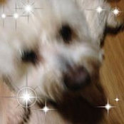 Cheryl Bricksさんの写真