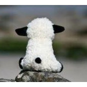 Ewee des Highlands's photo