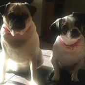 Foto de Marcella Gortner
