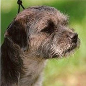 Sue Belson's photo