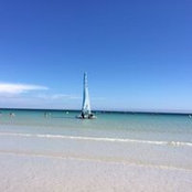 Annick Deveaux's photo
