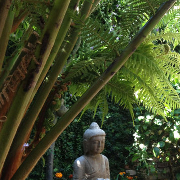 San Francisco Outdoor Living