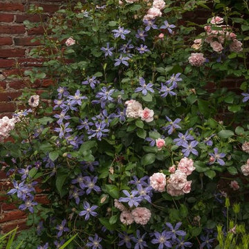 1920's English Tutor with a brick walled garden