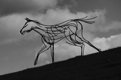 Stallion on Moor