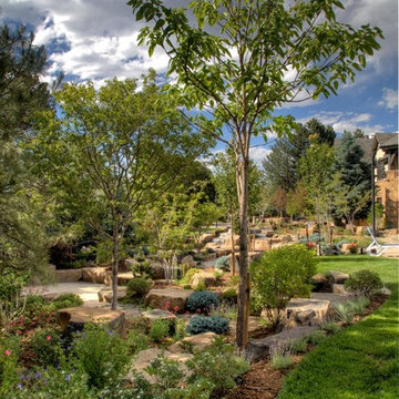 Oasis Amongst the Evergreens