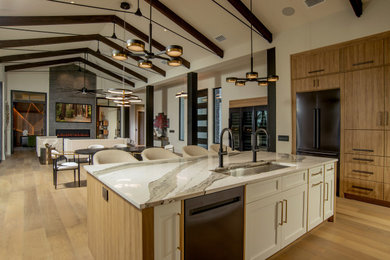 Example of a minimalist kitchen design in Orlando