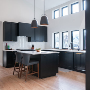 Modern Ranch Whole-Home Remodel & Addition | Arlington Heights, IL