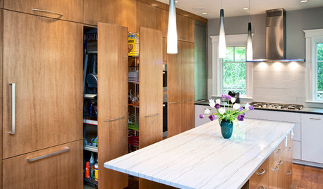 Kitchen Organisation: 14 Dream Pantry & Cupboard Designs