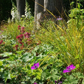 A garden of many parts, full of colour and interest...
