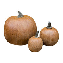 fALL