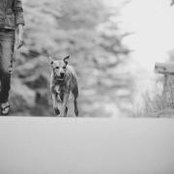 Stephanie Buyce's photo