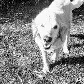Sue Wright's photo
