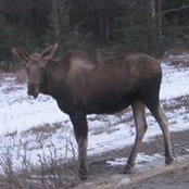 Kelsey Hill's photo