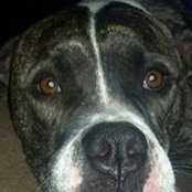 Foto von Kimberly Underwood-Patomson