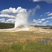 Suzan Randall's photo