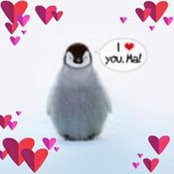 Debbie Taylor's photo