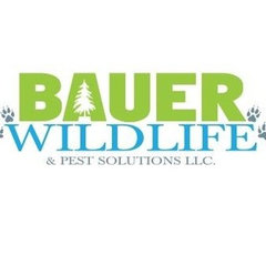 Bauer Wildlife and Pest Solutions LLC