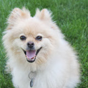 Kayla Sturm's photo