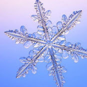 Laurel Stevens's photo
