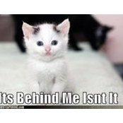 Nancy Domian's photo
